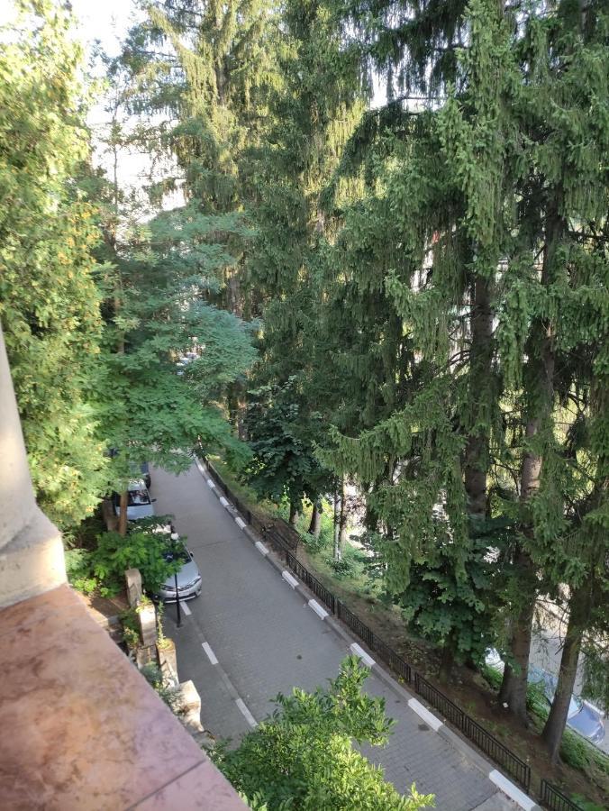 Casa Rosa Villa Băile Olăneşti Dış mekan fotoğraf