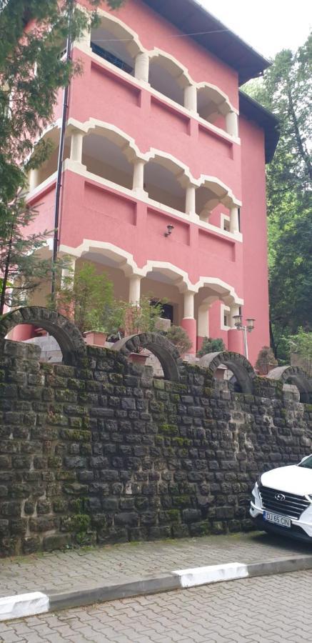 Casa Rosa Villa Băile Olăneşti Dış mekan fotoğraf