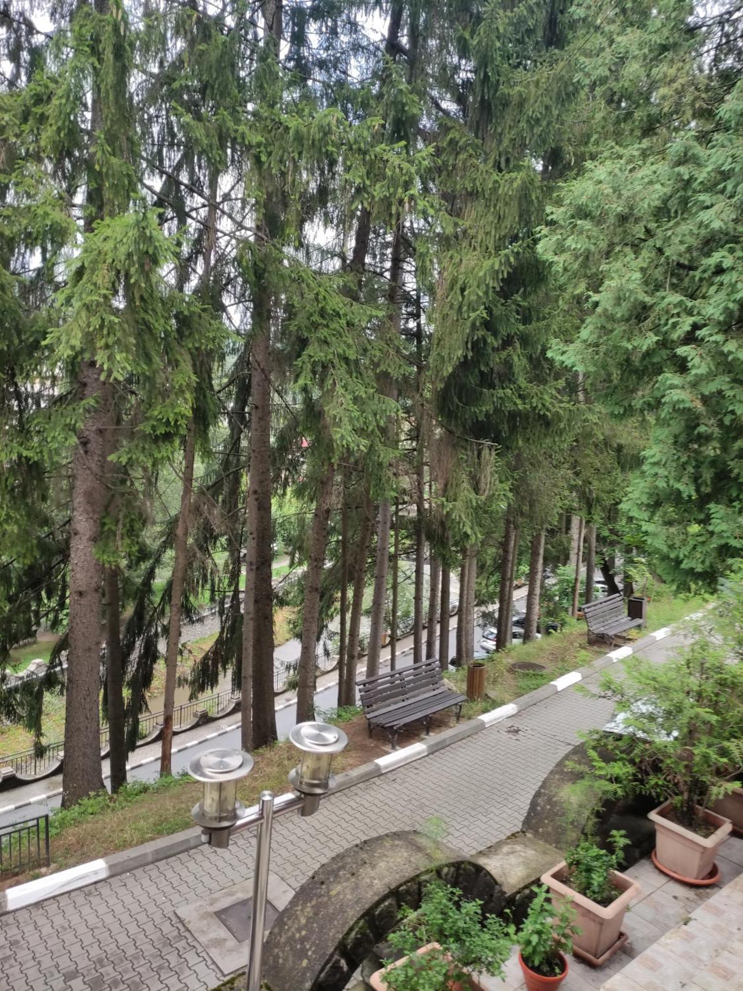 Casa Rosa Villa Băile Olăneşti Dış mekan fotoğraf